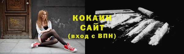 стаф Володарск