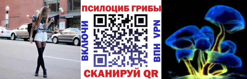 Галлюциногенные грибы Magic Shrooms как найти закладки дарк нет клад Кимовск